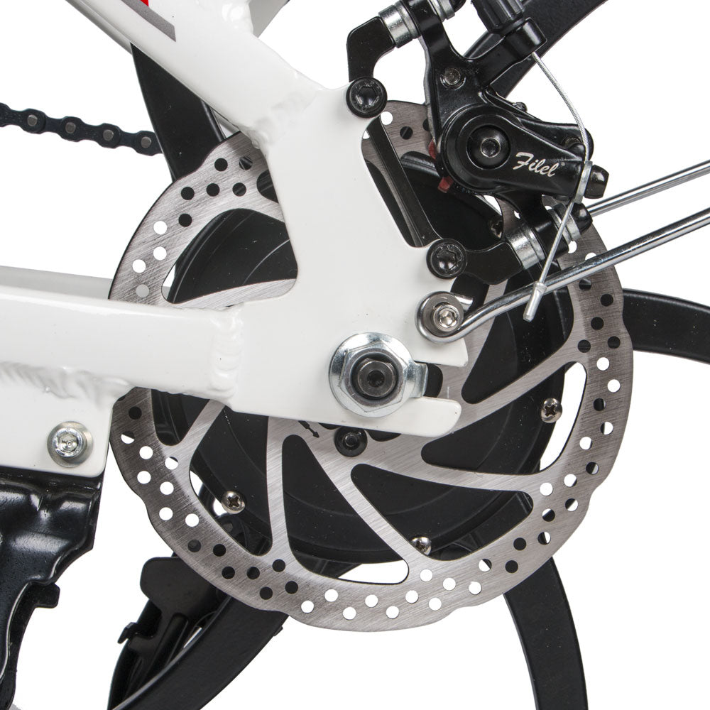 Bicicleta eléctrica plegable 20LVXD30II 48V-10,4Ah (499Wh) - rueda 20"