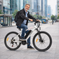 SEGUNDA VIDA - MTB eléctrica SY26 II FT 36V- 480Wh - 26"x1.95" - MUY BUENA