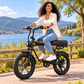 Bicicleta eléctrica ENGWE M1 urbana fatbike 749 Wh