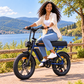 Bicicleta eléctrica ENGWE M1 2BAT urbana fatbike 1370 Wh