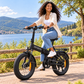 Bicicleta eléctrica ENGWE EP2 3.0 B plegable fatbike 648 Wh