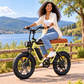 Bicicleta eléctrica ENGWE M1 2BAT urbana fatbike 1370 Wh